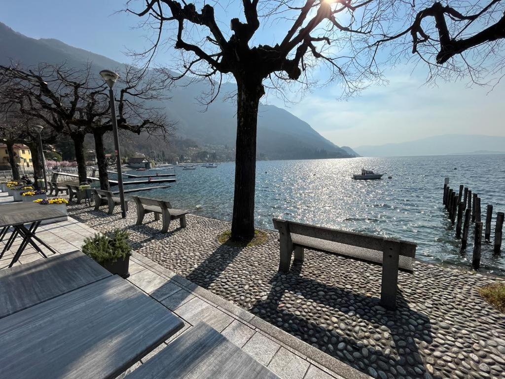 Il Sole Di Calde Lago Maggiore 504 Castelveccana Exterior foto