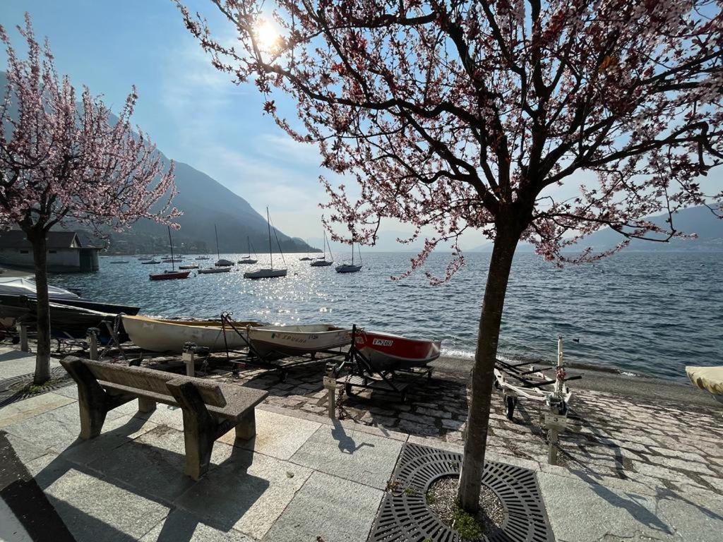 Il Sole Di Calde Lago Maggiore 504 Castelveccana Exterior foto